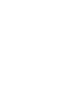 Polar Jewelry